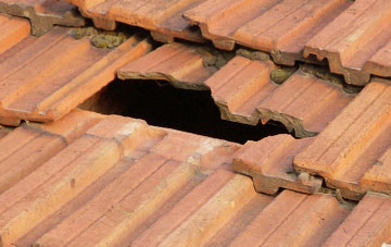 roof repair Bayles, Cumbria