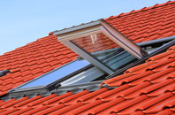 Bayles roof window